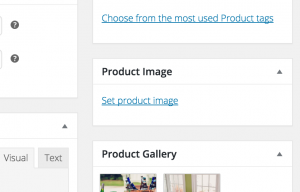 Wordpress Woocommerce Product Image Set